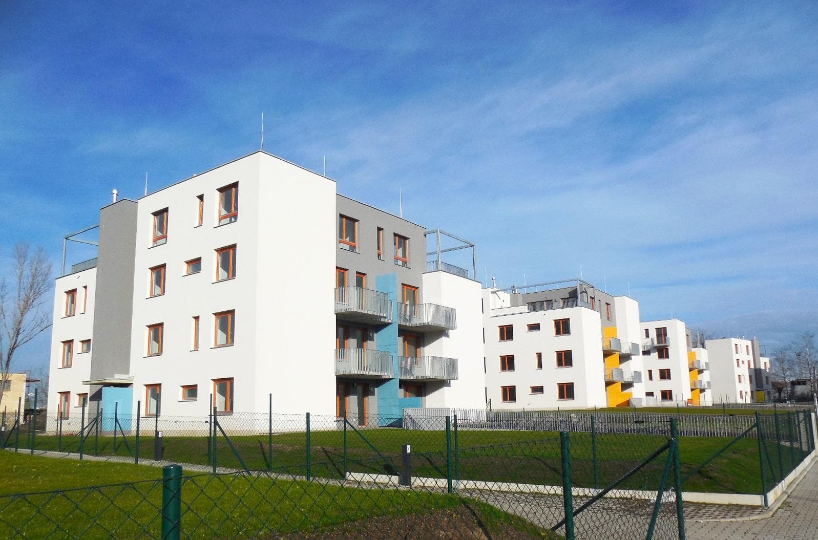 Koivu Zličín - foto 2