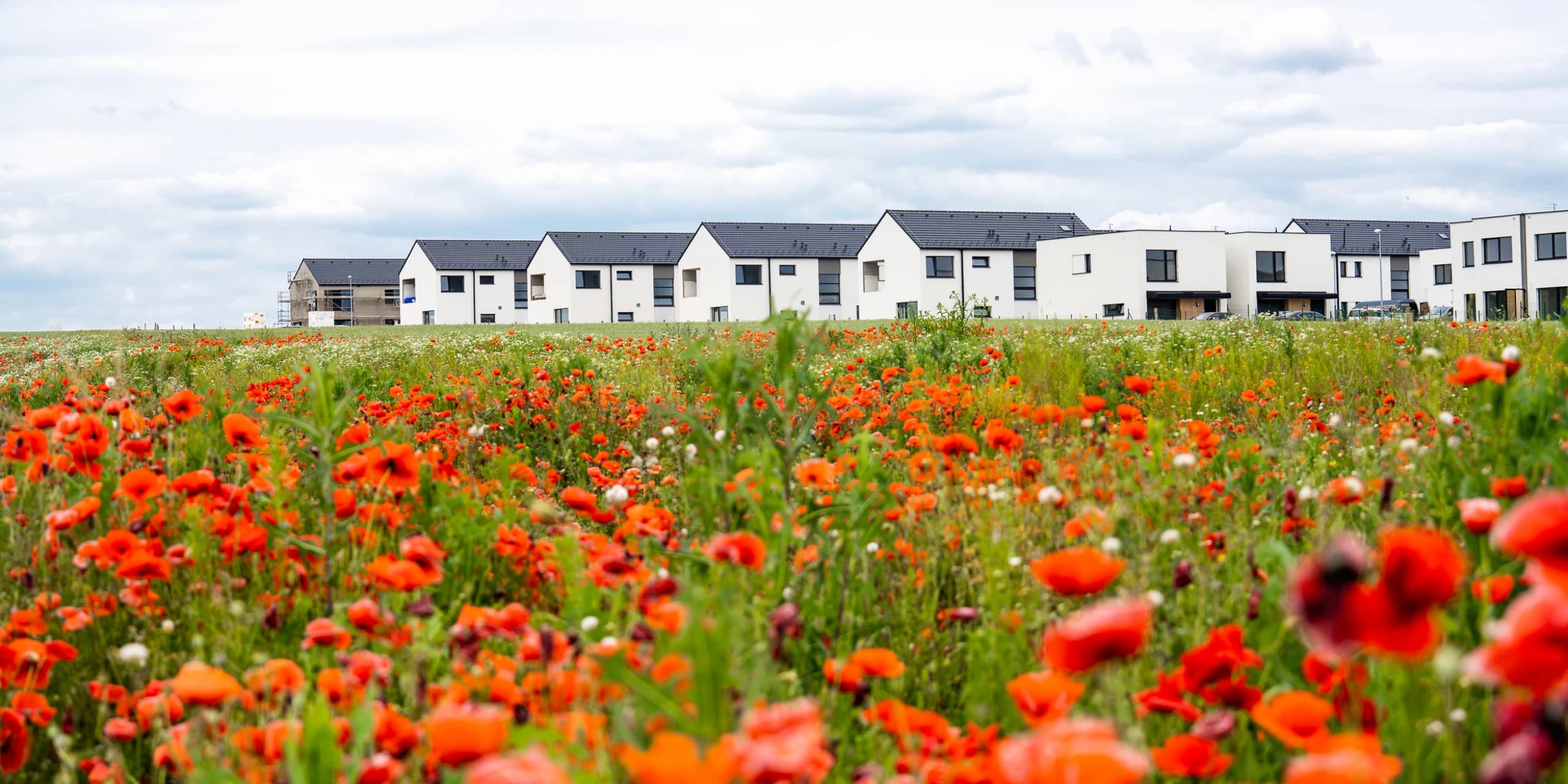 Rodinné domy Březiněves - foto 1