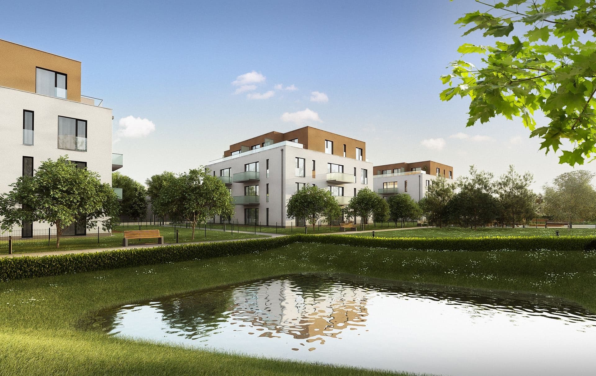 Čimický háj - foto 1