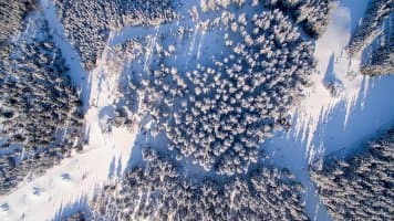 Corso Harrachov - foto 5