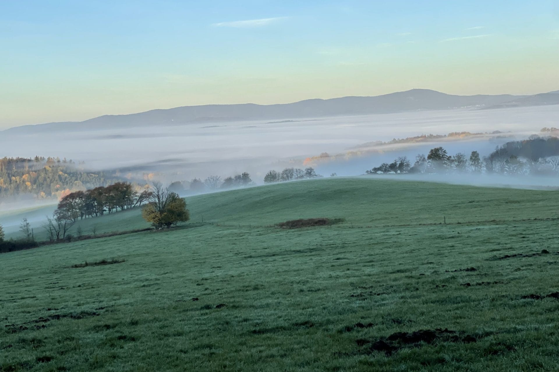 Terasy Šumava 5