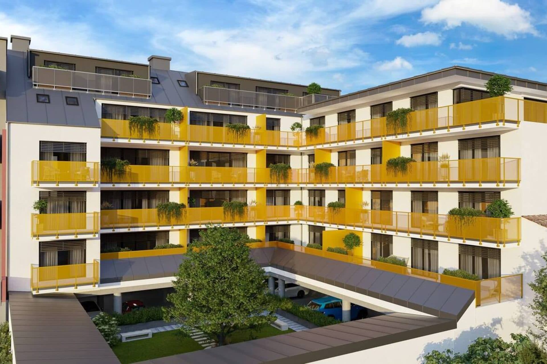 Šrámkovka - foto 4