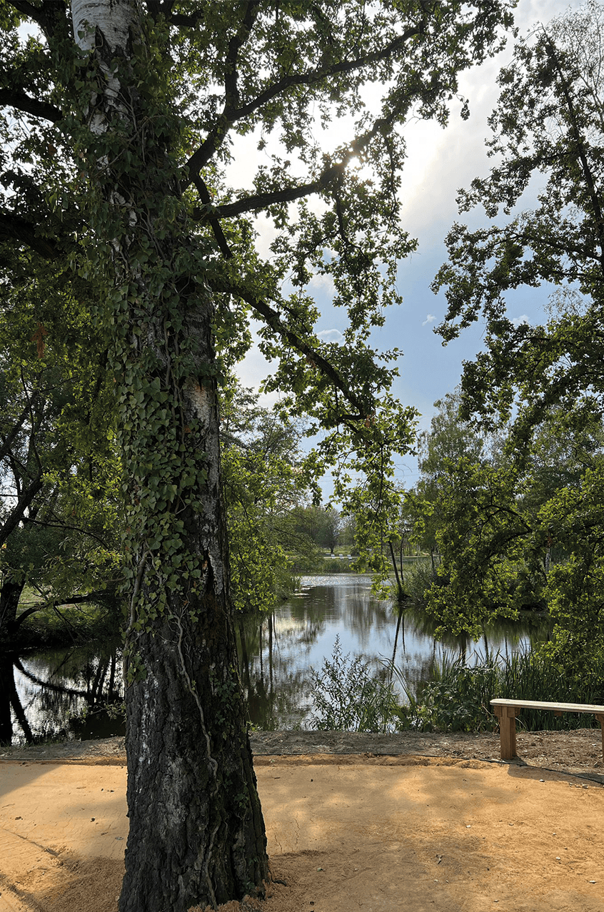 Dubičný potok - I.etapa - foto 3