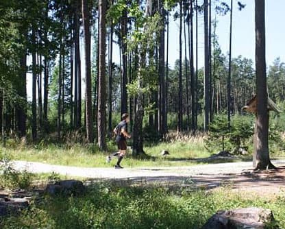 Nová čtvrť Branišovská - 1. etapa - foto 5