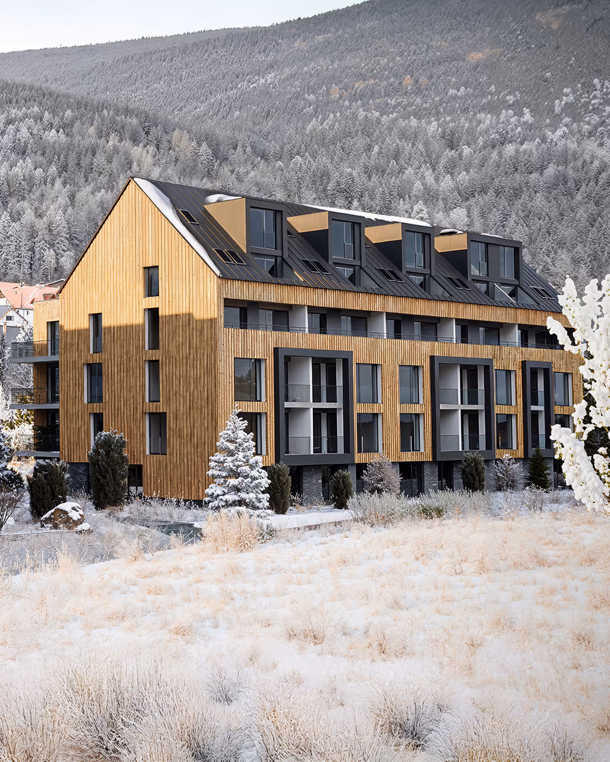 Zora Harrachov - foto 2