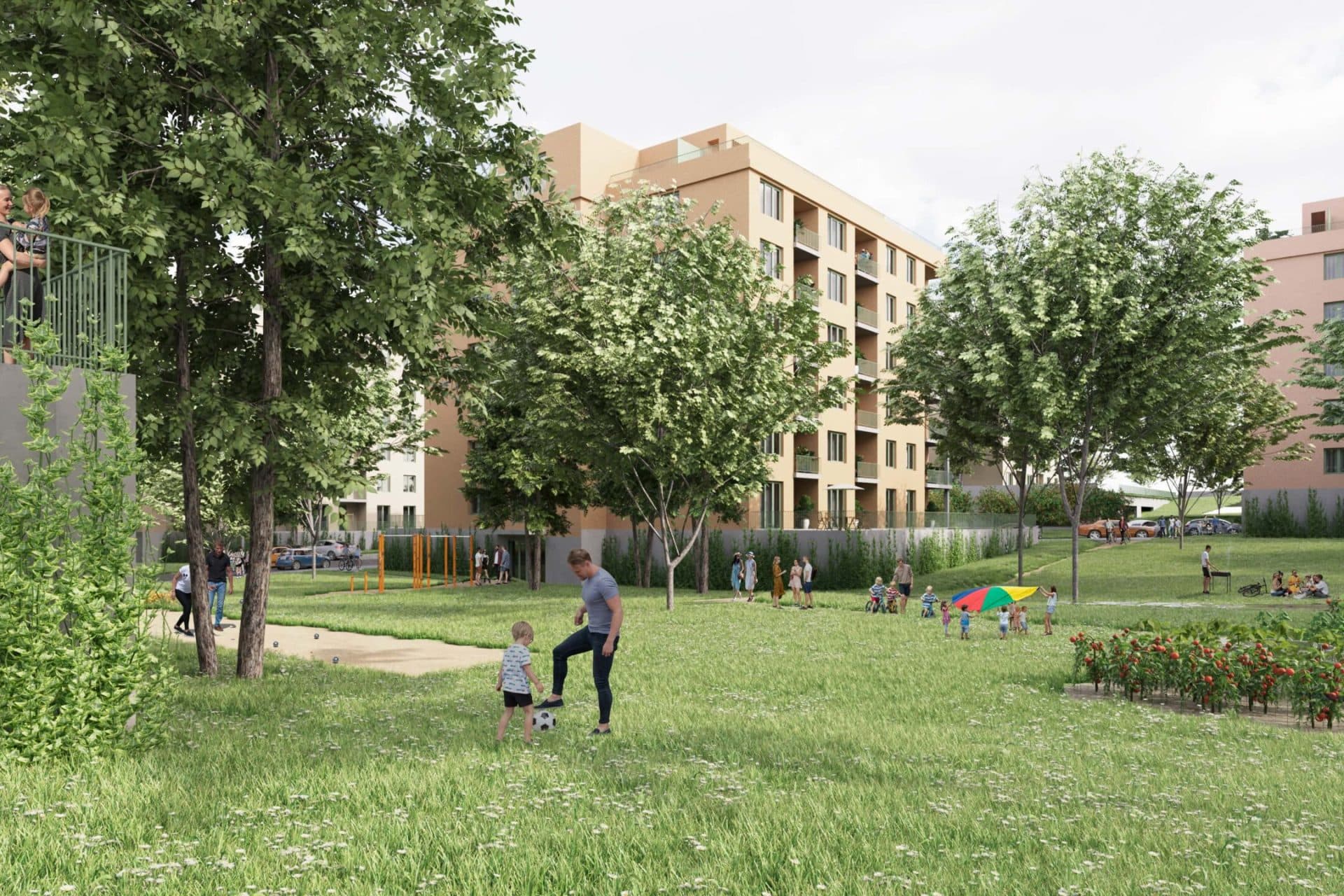 Zahrada Gallas - III. etapa - foto 3