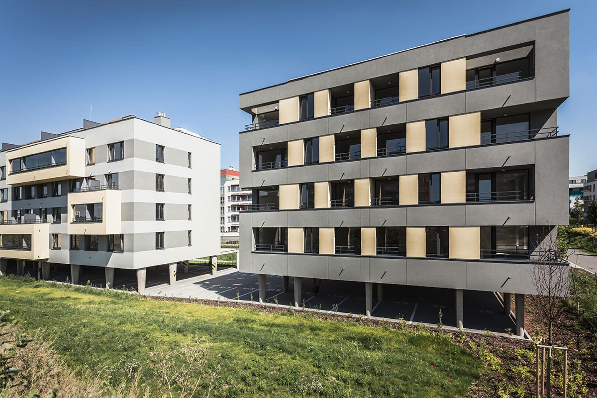 Živé Letňany - foto 2