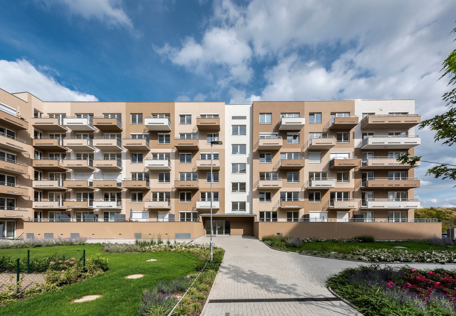 Javorová čtvrť II - foto 1