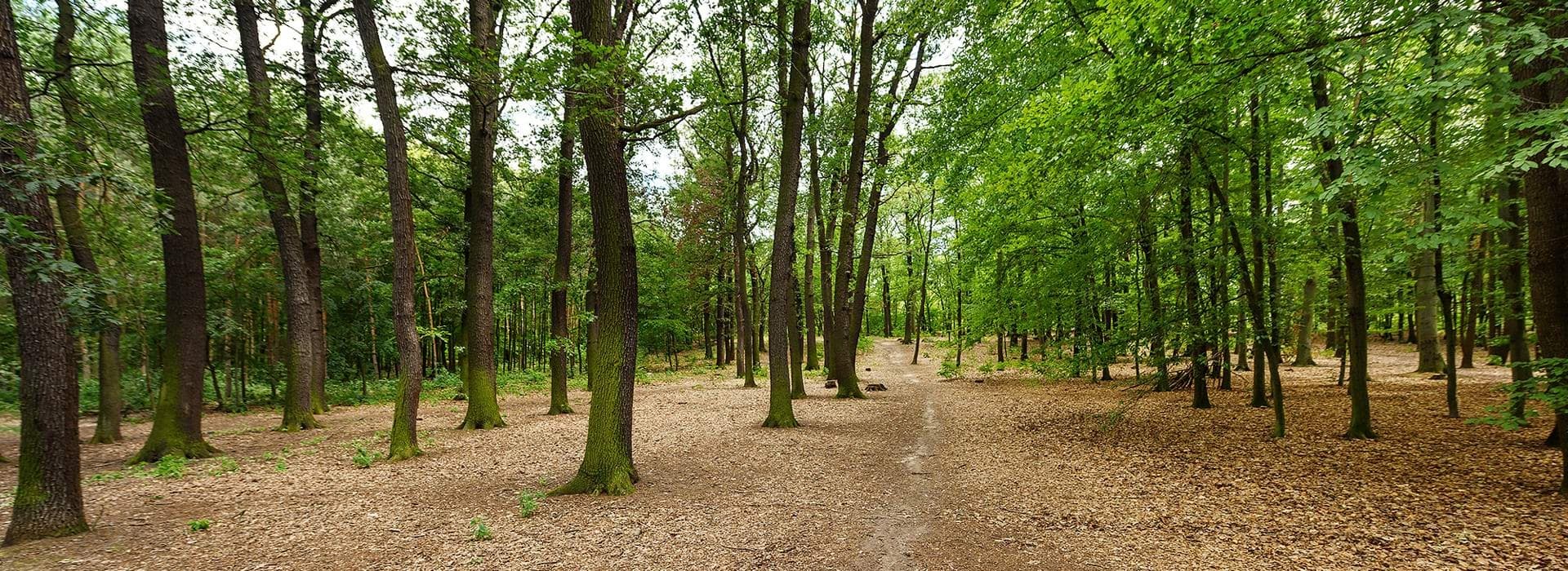 VILADOMY Čimický háj - 3. etapa- BD C1 - foto 2